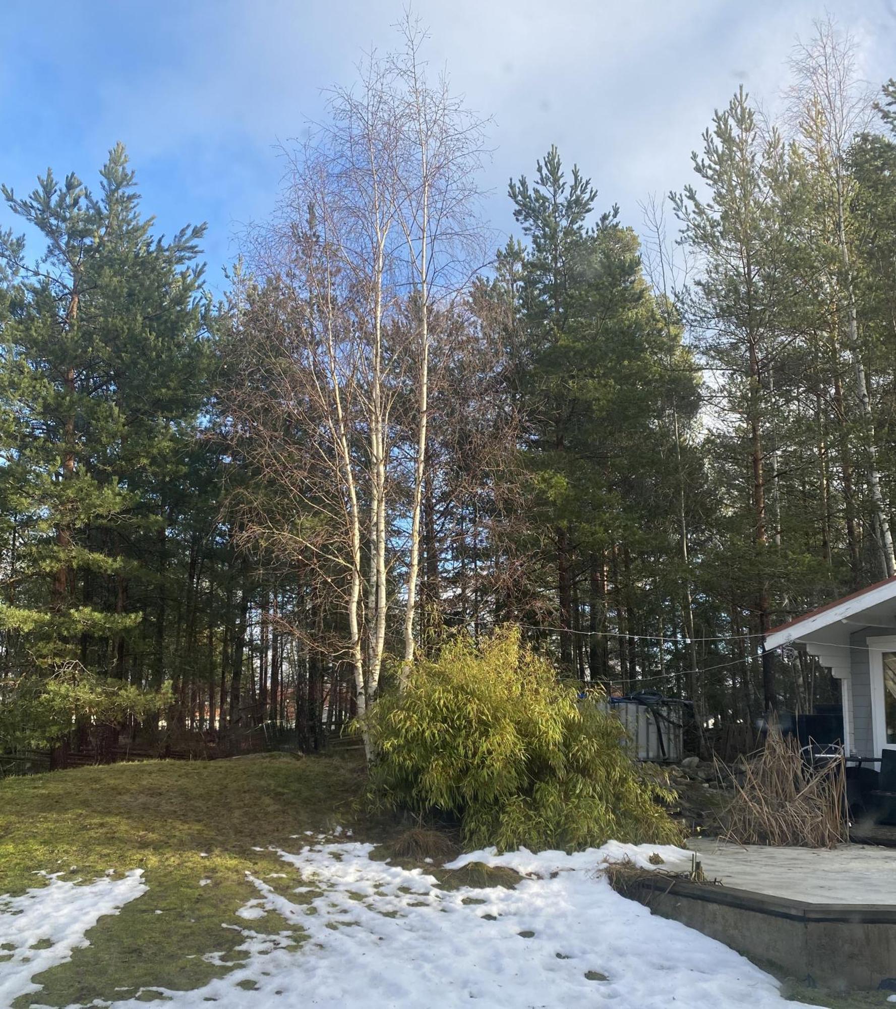 Hotel In Svalsaeter, Kallfors, Jaerna, Stockholm, 5 Min To Golf & 15 Min To Ytterjaerna Concerts Esterno foto